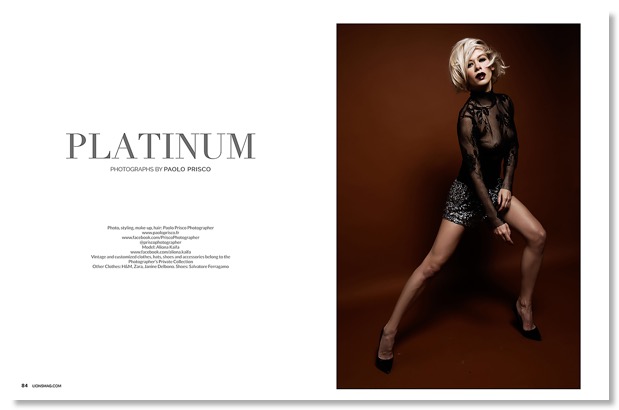 S-Platinum LIONS cover